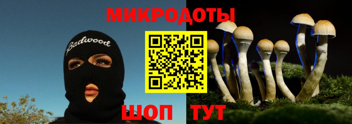 Галлюциногенные грибы Magic Shrooms  Вход с VPN  Краснознаменск 