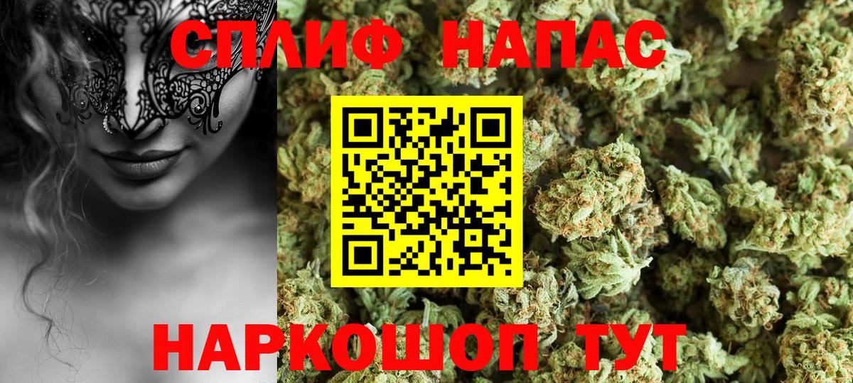 Марихуана планчик  Шишки марихуана Bruce Banner  Марихуана ГИДРОПОН  Вход с VPN  Краснознаменск 
